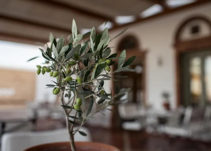 Porto Naxos 4* Naxos City