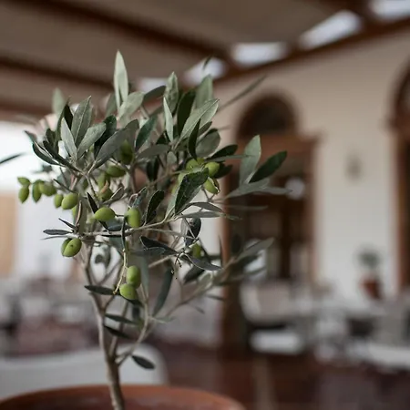 Porto Naxos 4* Naxos City